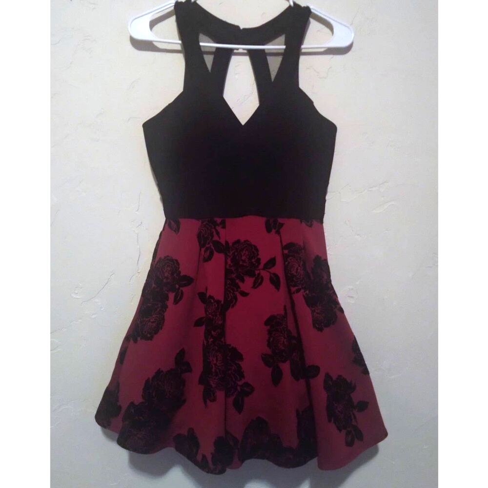 Crystal Doll Fit and Flare Dress